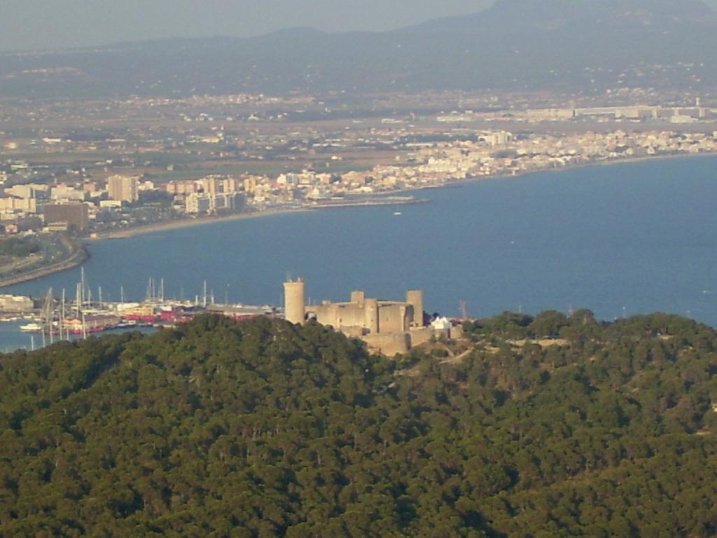 Vakantiehuis Wooden Bungalow Palma de Mallorca