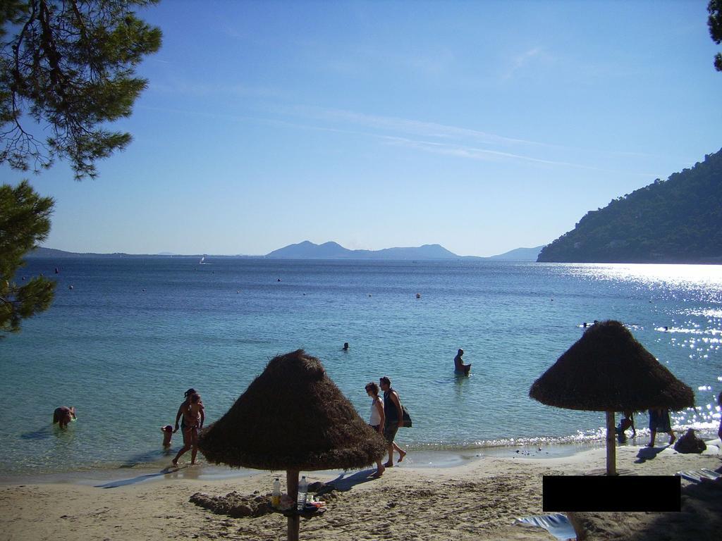 Vakantiehuis Wooden Bungalow Palma de Mallorca